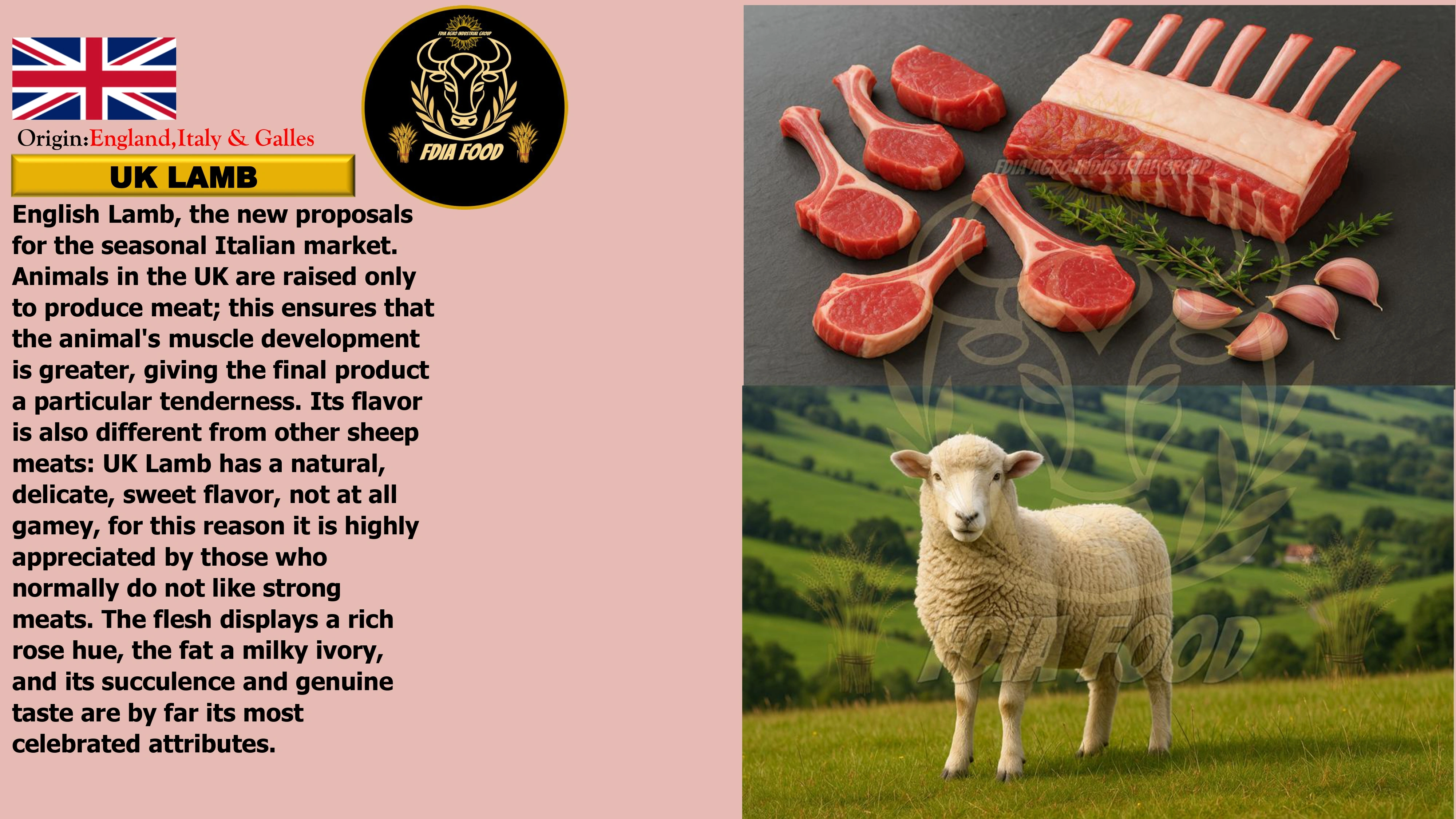 meat (31)